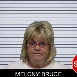 Melony Bruce mugshot – White County , Georgia Melony Bruce mugshot