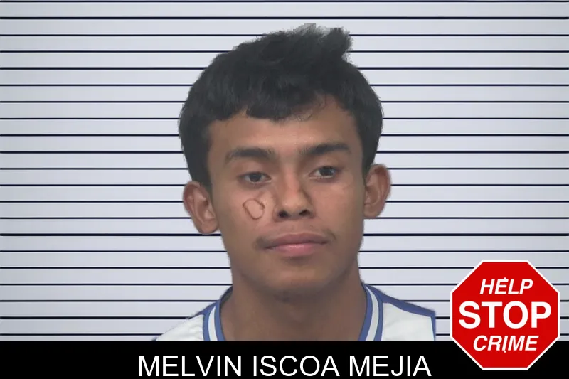 Melvin Iscoa Mejia mugshot – Gwinnett County , Georgia Melvin Iscoa Mejia mugshot