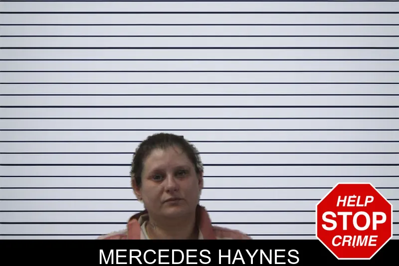 Mercedes Haynes mugshot – Stephens County , Georgia Mercedes Haynes mugshot