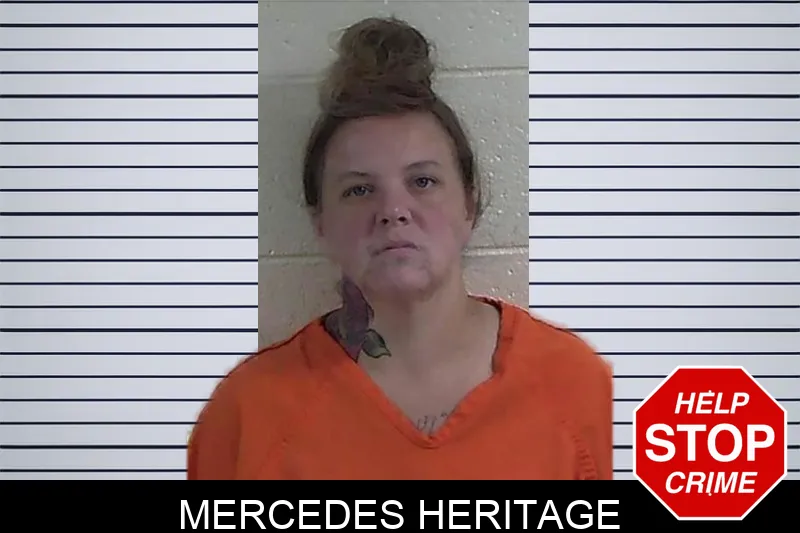 Mercedes Heritage mugshot – Fannin County , Georgia Mercedes Heritage mugshot