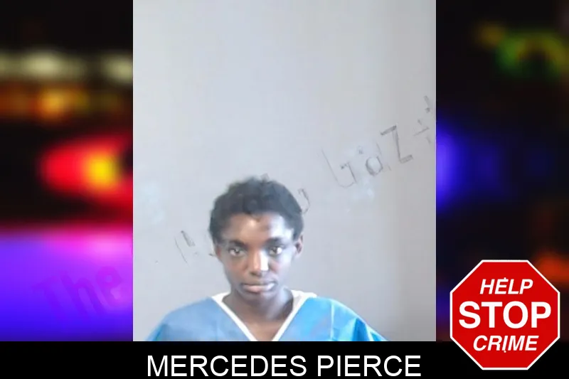 Mercedes Pierce mugshot – DeKalb County , Georgia Mercedes Pierce mugshot