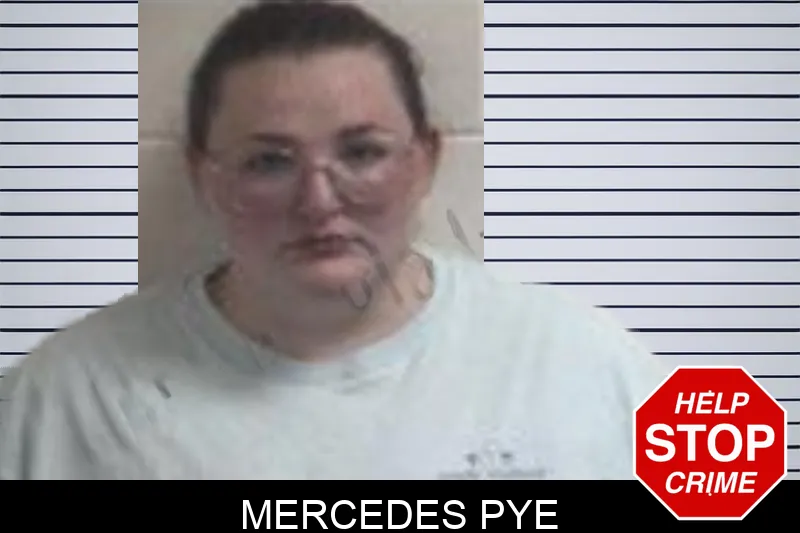 Mercedes Pye mugshot – Henry County , Georgia Mercedes Pye mugshot