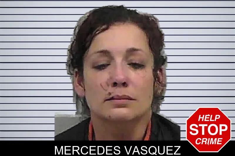 Mercedes Vasquez mugshot