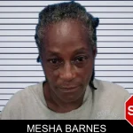 Mesha Barnes mugshot