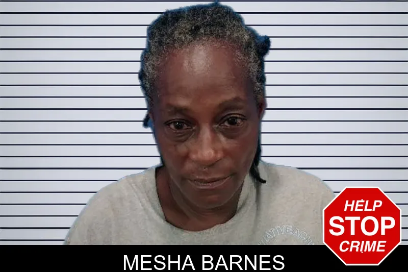 Mesha Barnes mugshot