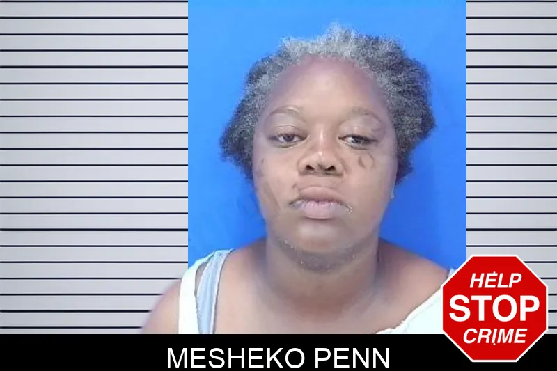 Mesheko Penn mugshot – Troup County , Georgia Mesheko Penn mugshot