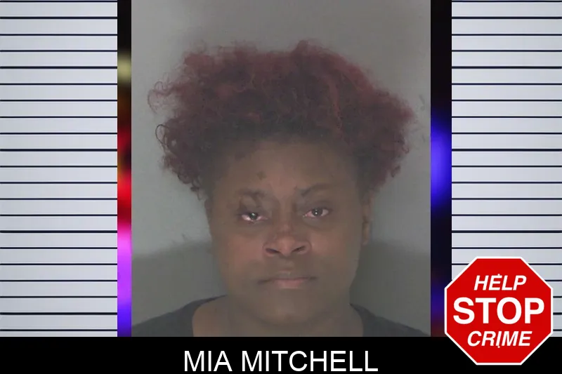 Mia Mitchell mugshot – Douglas County , Georgia Mia Mitchell mugshot