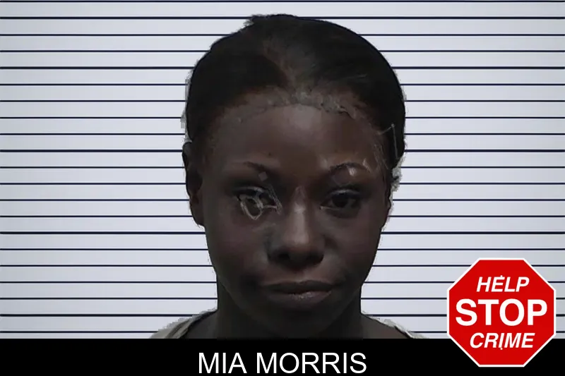 Mia Morris mugshot – Tift County , Georgia Mia Morris mugshot