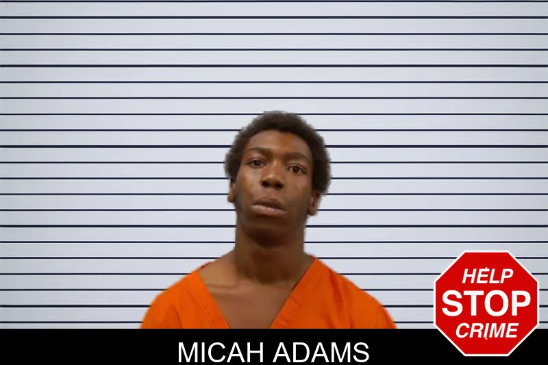Micah Adams mugshot