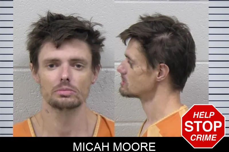 Micah Moore mugshot – Paulding County , Georgia Micah Moore mugshot