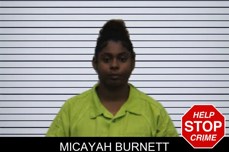 Micayah Burnett mugshot – Turner County , Georgia Micayah Burnett mugshot