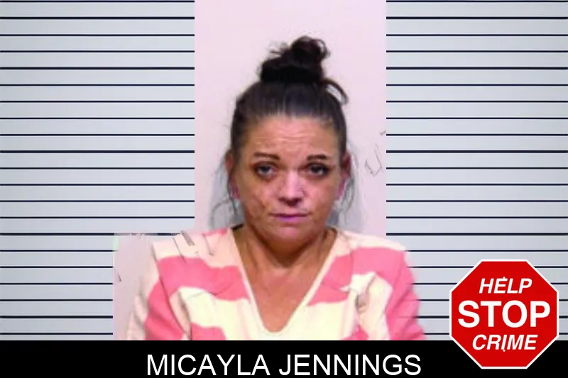 Micayla Jennings mugshot – Bartow County , Georgia Micayla Jennings mugshot