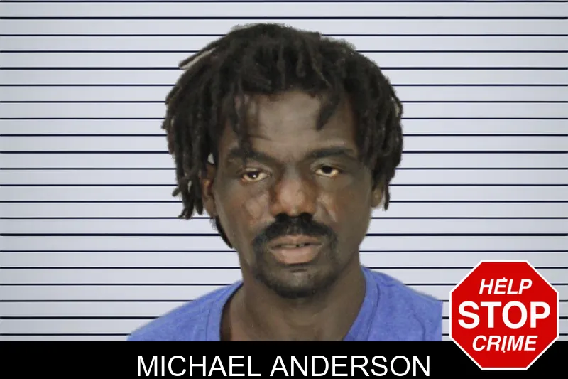 Michael Anderson mugshot