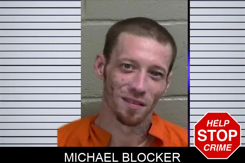 Michael Blocker mugshot – Wayne County , Georgia Michael Blocker mugshot