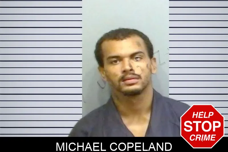 Michael Copeland mugshot