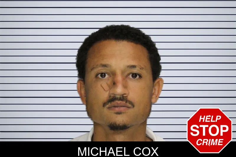 Michael Cox mugshot – Cobb County , Georgia Michael Cox mugshot