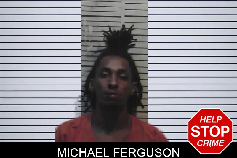 Michael Ferguson mugshot – Meriwether County , Georgia Michael Ferguson mugshot