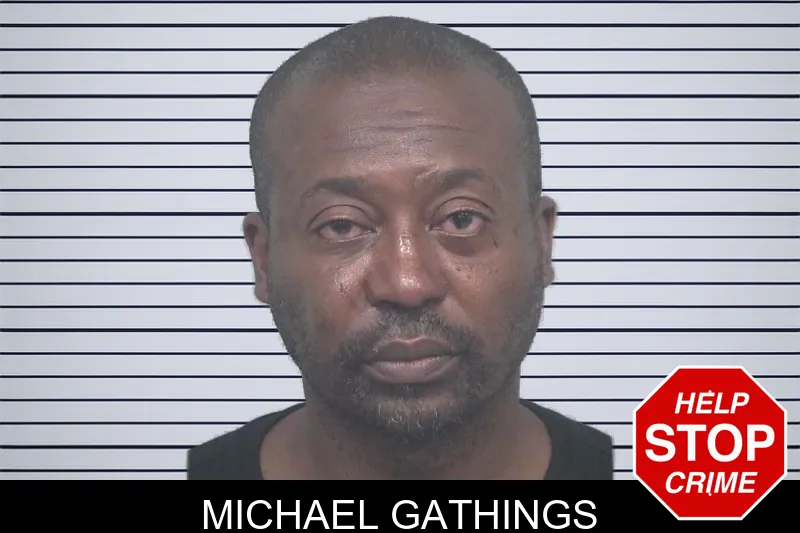Michael Gathings mugshot – Gwinnett County , Georgia Michael Gathings mugshot
