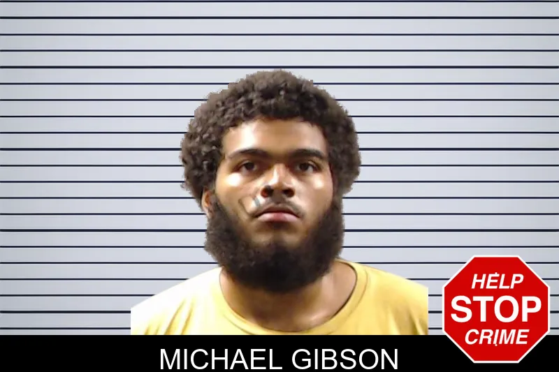 Michael Gibson mugshot – DeKalb County , Georgia Michael Gibson mugshot