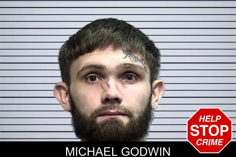 Michael Godwin mugshot – Effingham County , Georgia Michael Godwin