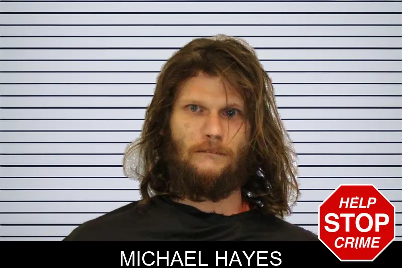 Michael Hayes mugshot – Carroll County , Georgia Michael Hayes mugshot