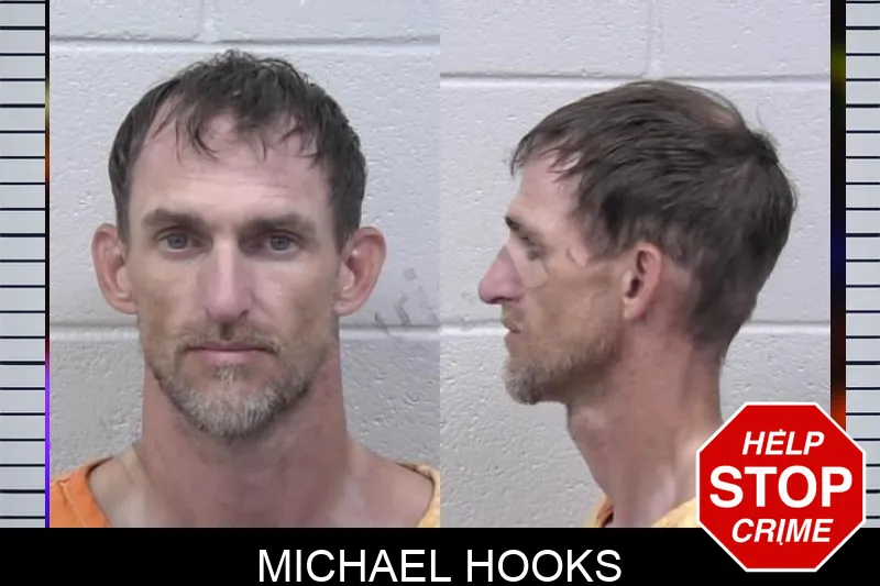 Michael Hooks mugshot – Paulding County , Georgia Michael Hooks mugshot