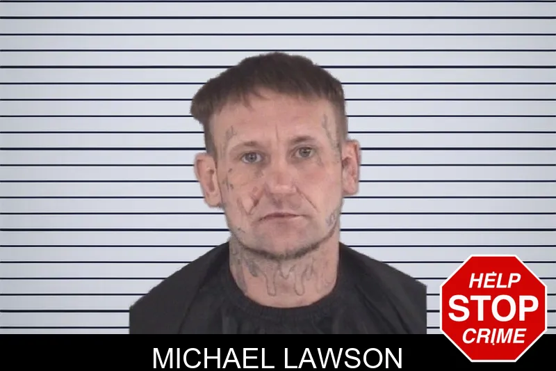 Michael Lawson mugshot