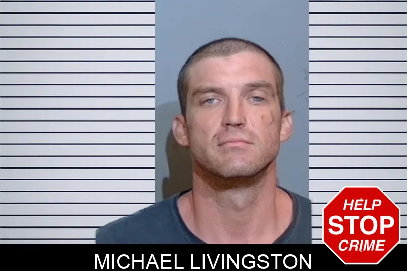 Michael Livingston mugshot – Glynn County , Georgia Michael Livingston mugshot
