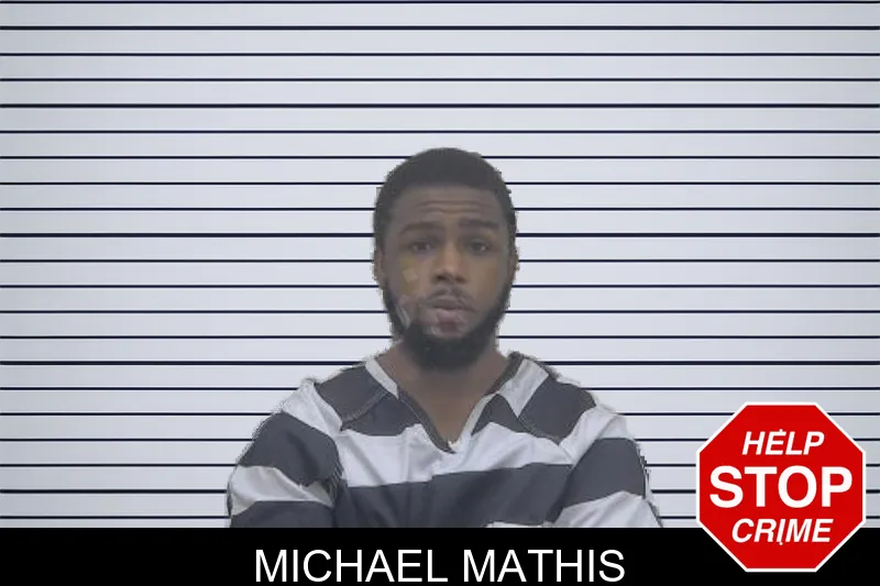 Michael Mathis mugshot