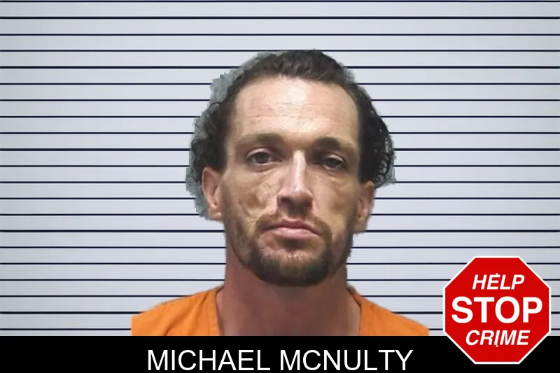 Michael McNulty mugshot – Cherokee County , Georgia Michael McNulty mugshot