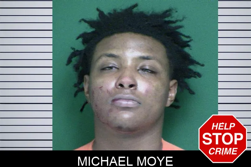 Michael Moye mugshot – Appling County , Georgia Michael Moye mugshot