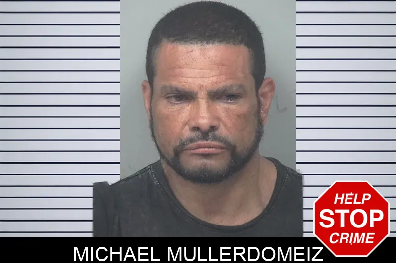 Michael Mullerdomeiz mugshot – Gwinnett County , Georgia Michael Mullerdomeiz mugshot