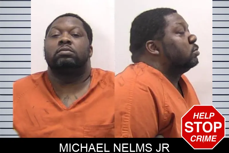 Michael Nelms Jr mugshot