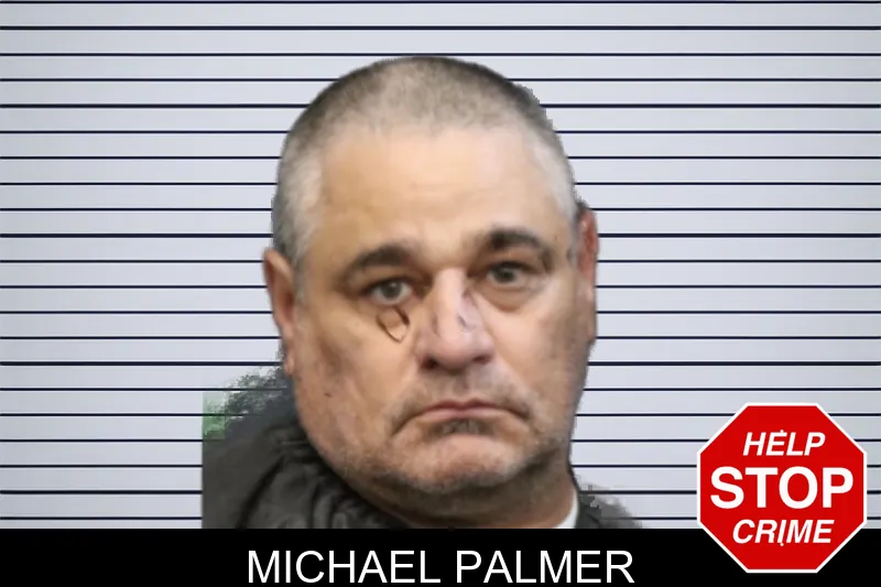 Michael Palmer mugshot