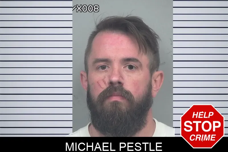Michael Pestle mugshot – Gwinnett County , Georgia Michael Pestle mugshot