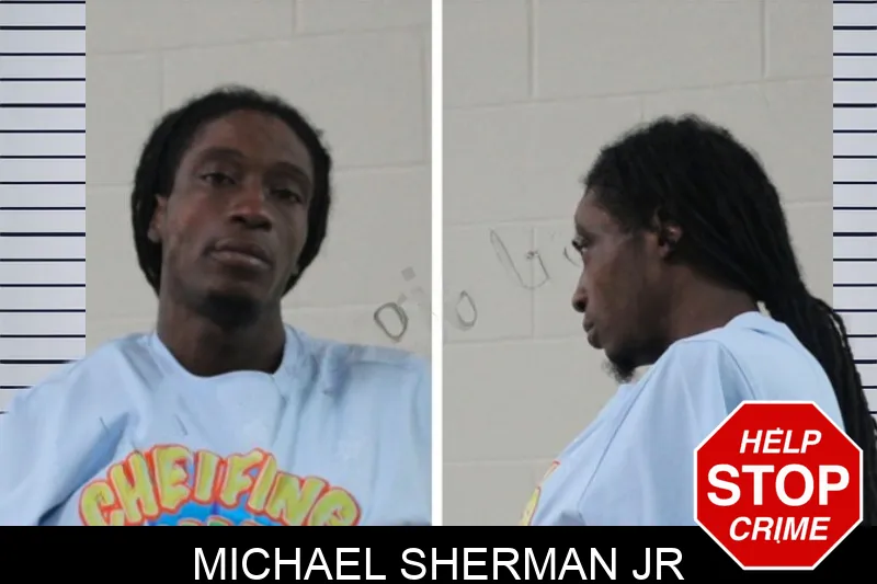 Michael Sherman Jr mugshot