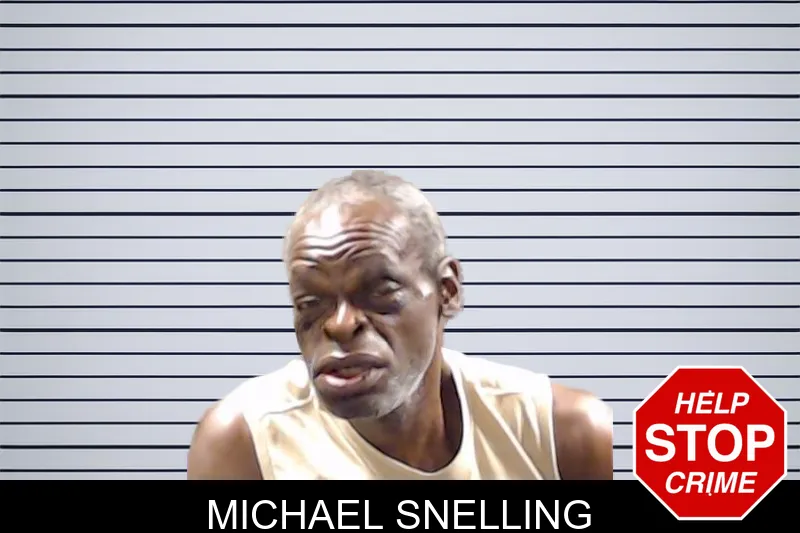 Michael Snelling mugshot