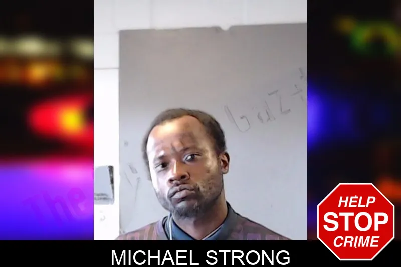 Michael Strong mugshot