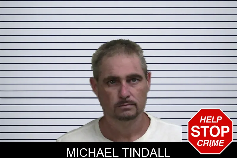 Michael Tindall mugshot – Wayne County , Georgia Michael Tindall mugshot