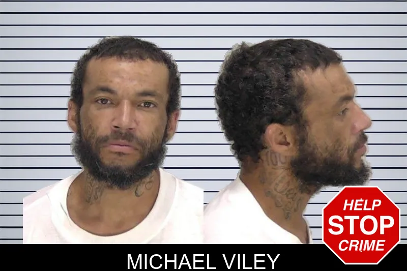 Michael Viley mugshot