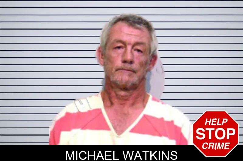 Michael Watkins mugshot – Bartow County , Georgia Michael Watkins mugshot