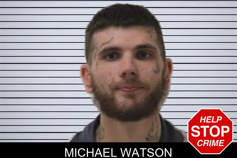 Michael Watson mugshot