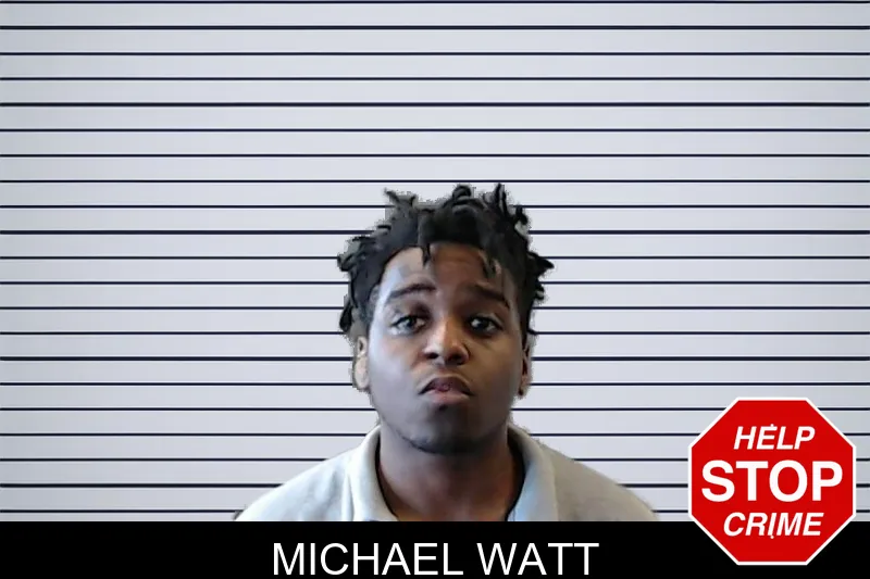 Michael Watt mugshot