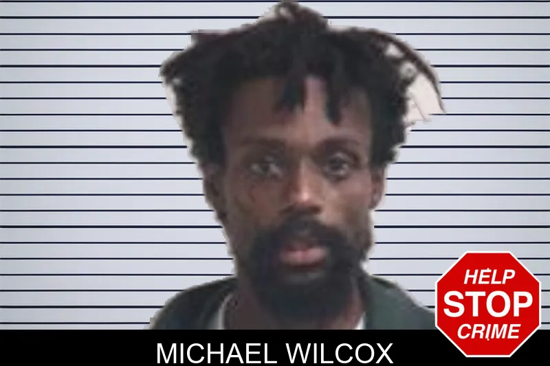 Michael Wilcox mugshot – Henry County , Georgia Michael Wilcox mugshot