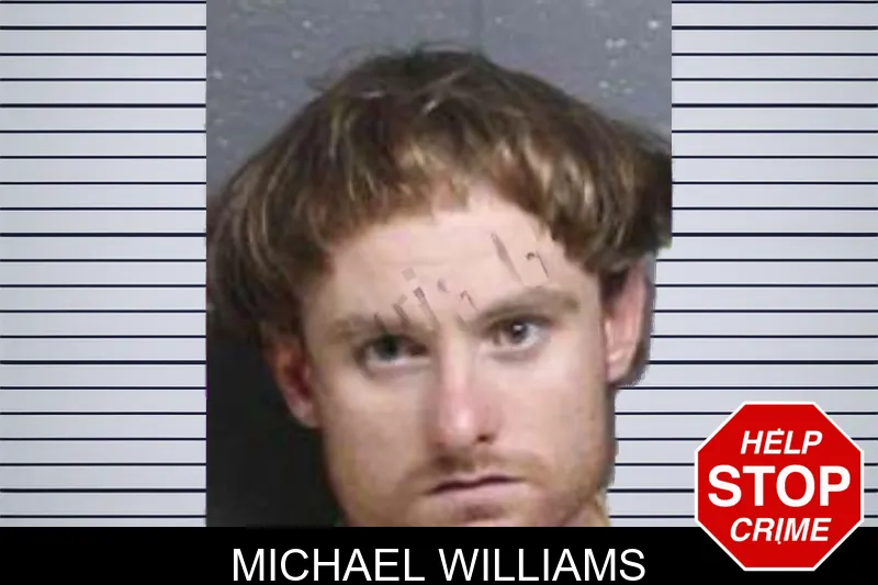 Michael Williams mugshot – Bacon County , Georgia Michael Williams mugshot