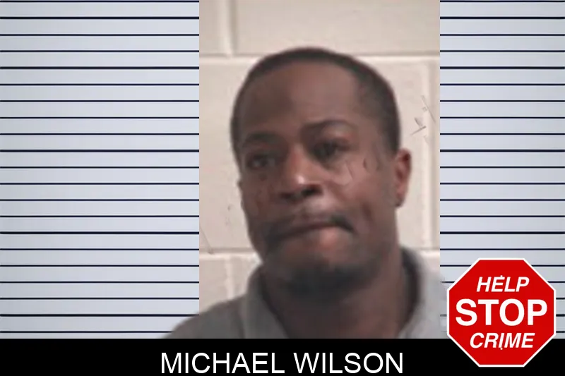 Michael Wilson mugshot – Henry County , Georgia Michael Wilson mugshot