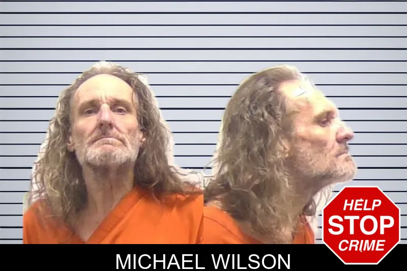Michael Wilson mugshot