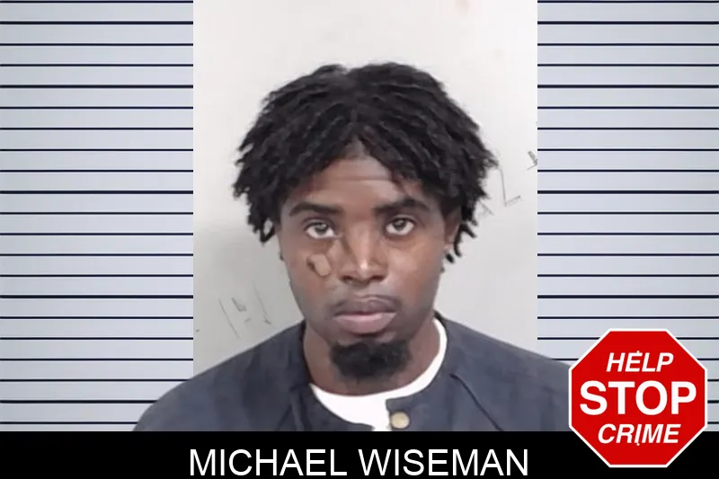 Michael Wiseman mugshot – Lowndes County , Georgia Michael Wiseman mugshot