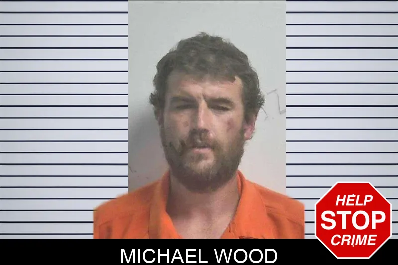 Michael Wood mugshot – Colquitt County , Georgia Michael Wood mugshot