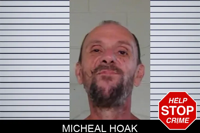 Micheal Hoak mugshot
